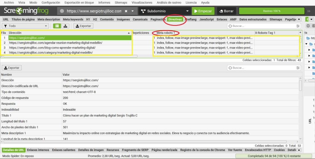 Consultor SEO Medellín Directivas y sugerencias meta robots