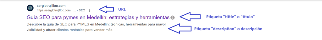 Guía SEO en Medellín