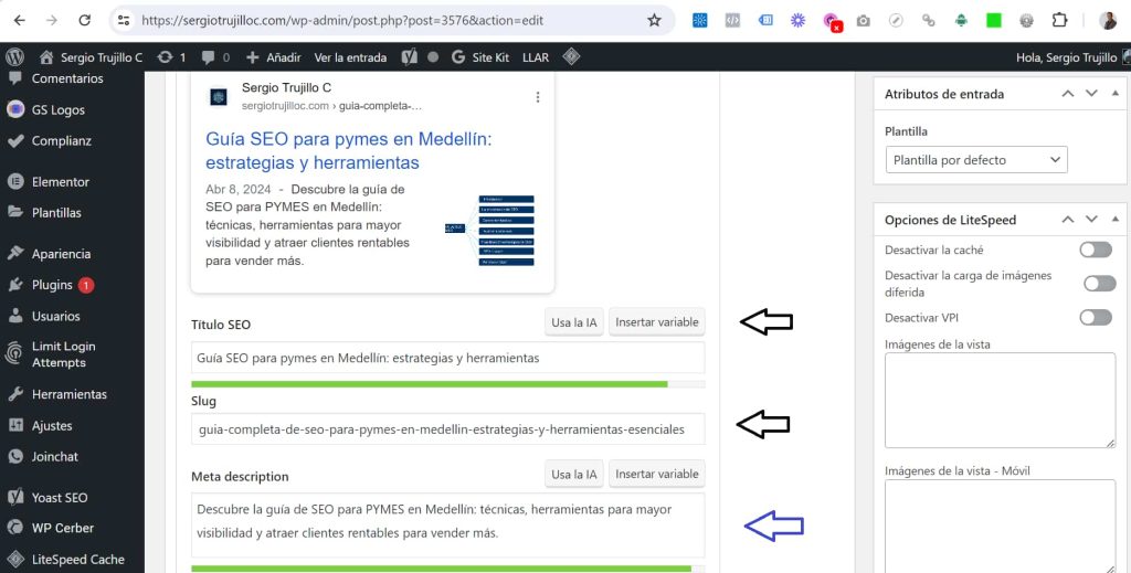 Guia SEO en Medellín meta drescripciones